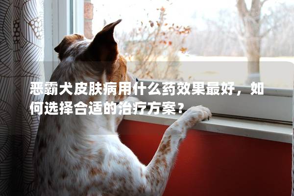 惡霸犬皮膚病用什么藥效果最好，如何選擇合適的治療方案？