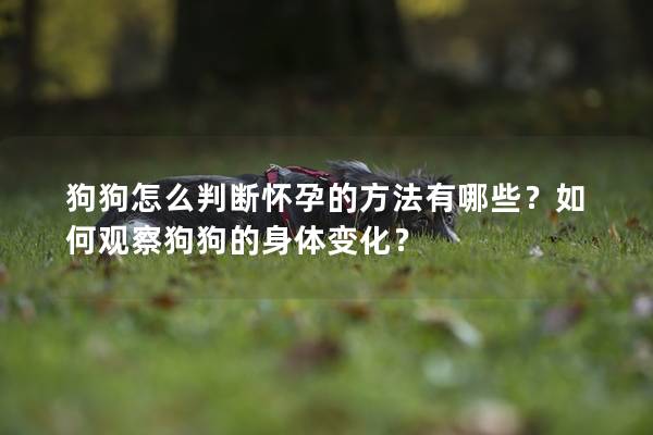 狗狗怎么判斷懷孕的方法有哪些？如何觀察狗狗的身體變化？