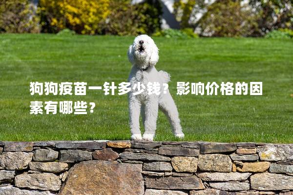 狗狗疫苗一針多少錢？影響價格的因素有哪些？