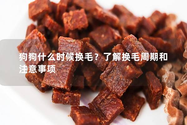 狗狗什么時(shí)候換毛？了解換毛周期和注意事項(xiàng)