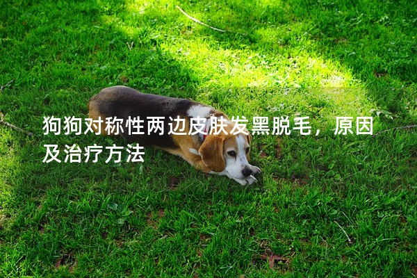 狗狗對(duì)稱性兩邊皮膚發(fā)黑脫毛，原因及治療方法