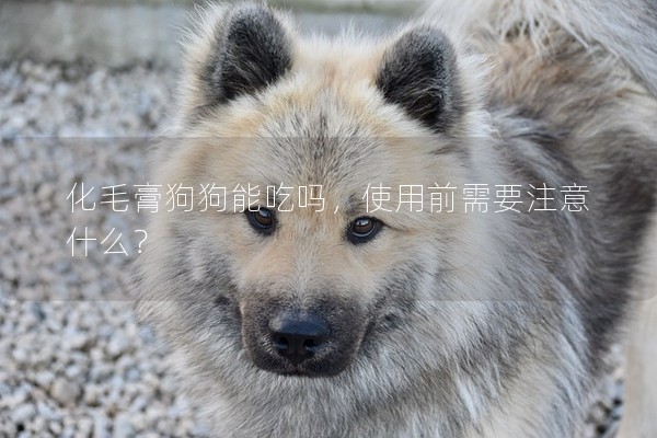化毛膏狗狗能吃嗎，使用前需要注意什么？