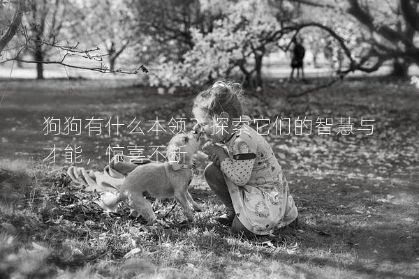 狗狗有什么本領？探索它們的智慧與才能，驚喜不斷