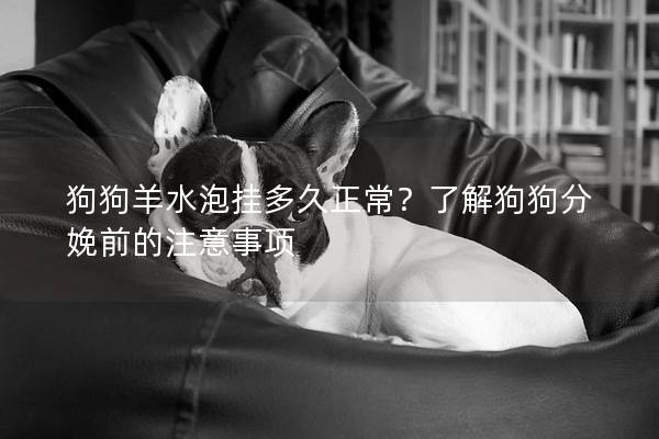 狗狗羊水泡掛多久正常？了解狗狗分娩前的注意事項