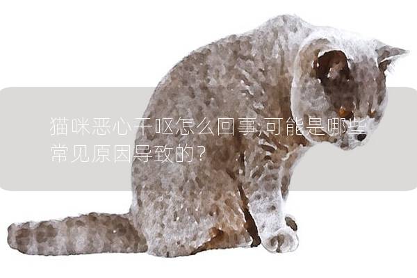 貓咪惡心干嘔怎么回事,可能是哪些常見原因導致的?