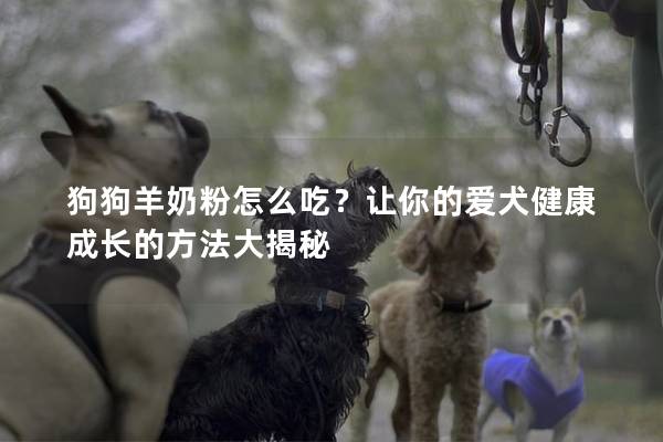 狗狗羊奶粉怎么吃？讓你的愛犬健康成長的方法大揭秘