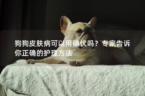 狗狗皮膚病可以用碘伏嗎？專家告訴你正確的護理方法