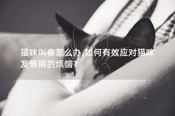 貓咪叫春怎么辦,如何有效應對貓咪發情期的煩惱？