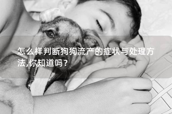 怎么樣判斷狗狗流產的癥狀與處理方法,你知道嗎？
