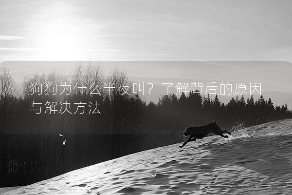 狗狗為什么半夜叫？了解背后的原因與解決方法
