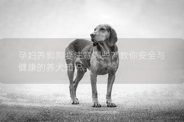 孕婦養狗狗要注意哪些？教你安全與健康的養犬知識