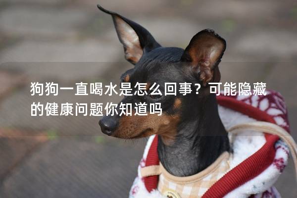 狗狗一直喝水是怎么回事？可能隱藏的健康問(wèn)題你知道嗎
