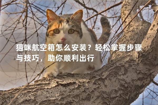 貓咪航空箱怎么安裝?輕松掌握步驟與技巧,助你順利出行 貓咪航空箱怎么安裝?輕松掌握步驟與技巧,助你順利出行