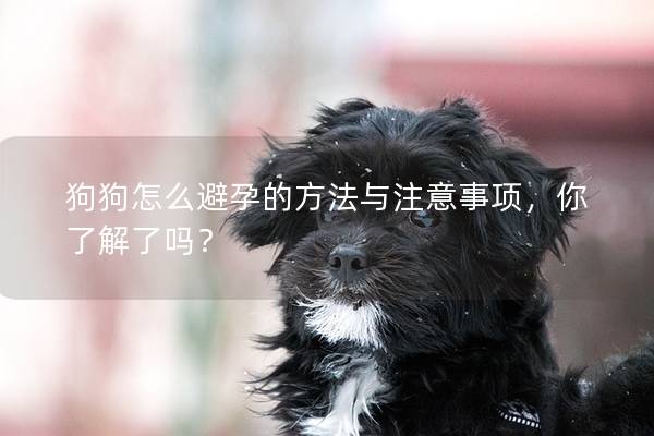 狗狗怎么避孕的方法與注意事項，你了解了嗎？
