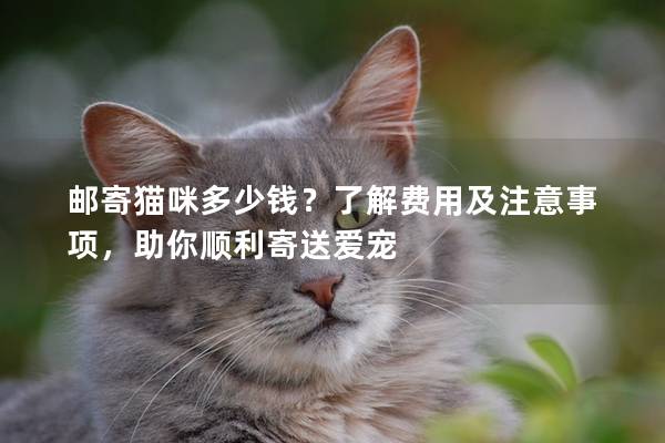 郵寄貓咪多少錢？了解費用及注意事項，助你順利寄送愛寵