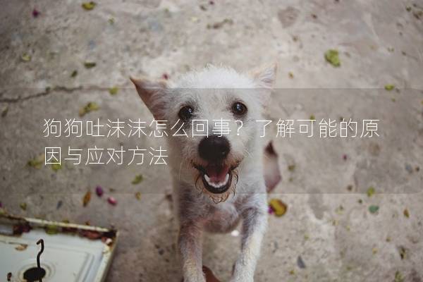 狗狗吐沫沫怎么回事？了解可能的原因與應對方法