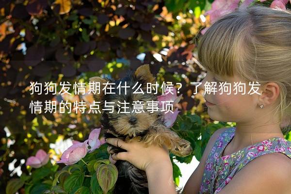狗狗發情期在什么時候？了解狗狗發情期的特點與注意事項