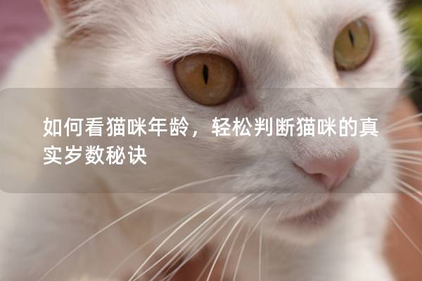 如何看貓咪年齡，輕松判斷貓咪的真實歲數秘訣