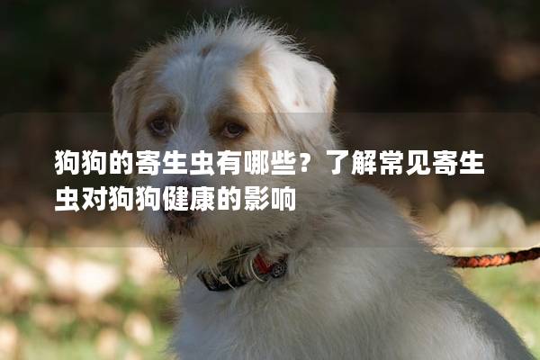 狗狗的寄生蟲有哪些？了解常見寄生蟲對狗狗健康的影響