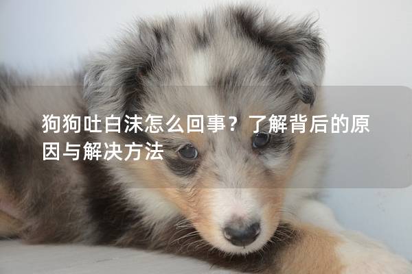 狗狗吐白沫怎么回事？了解背后的原因與解決方法