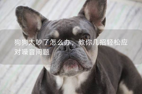 狗狗太吵了怎么辦，教你幾招輕松應對噪音問題