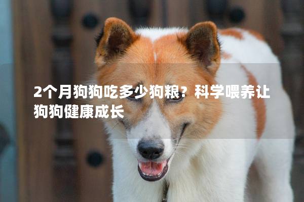 2個月狗狗吃多少狗糧？科學喂養讓狗狗健康成長