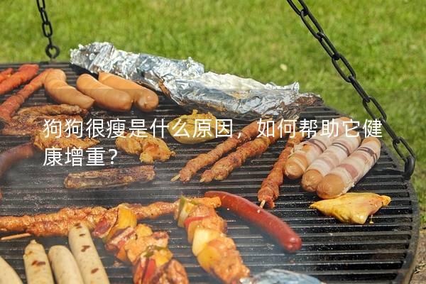 狗狗很瘦是什么原因，如何幫助它健康增重？