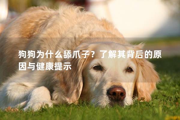 狗狗為什么舔爪子?了解其背后的原因與健康提示 狗狗為什么舔爪子?了解其背后的原因與健康提示