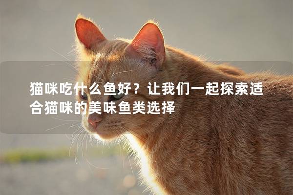 貓咪吃什么魚好？讓我們一起探索適合貓咪的美味魚類選擇