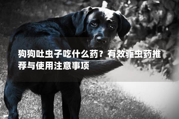 狗狗吐蟲子吃什么藥？有效驅蟲藥推薦與使用注意事項