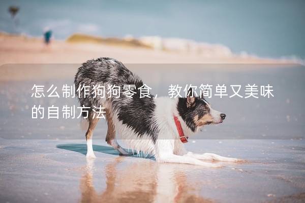 怎么制作狗狗零食，教你簡單又美味的自制方法