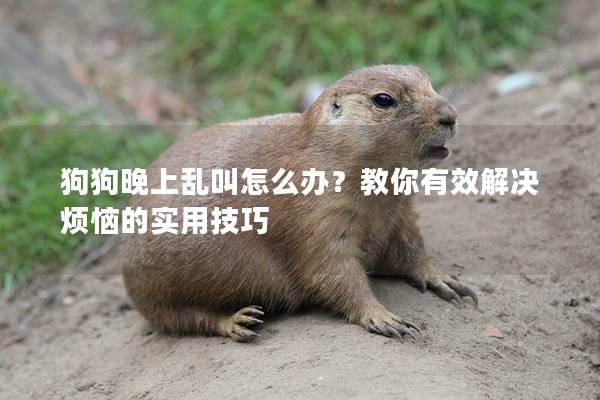 狗狗晚上亂叫怎么辦？教你有效解決煩惱的實(shí)用技巧