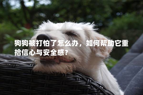 狗狗被打怕了怎么辦，如何幫助它重拾信心與安全感？
