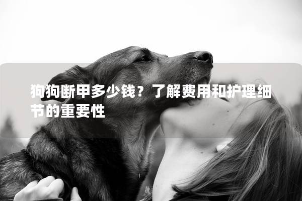 狗狗斷甲多少錢？了解費用和護理細節的重要性