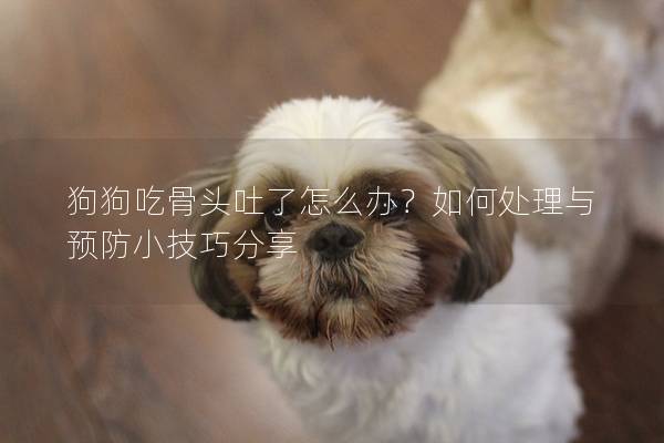 狗狗吃骨頭吐了怎么辦？如何處理與預防小技巧分享