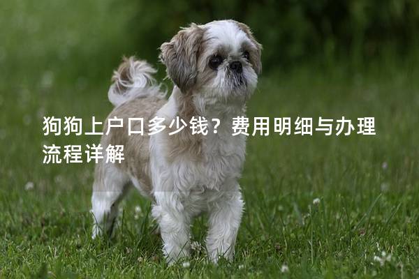狗狗上戶口多少錢?費用明細與辦理流程詳解 狗狗上戶口多少錢?費用明細與辦理流程詳解