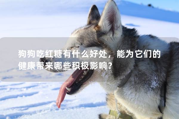 狗狗吃紅糖有什么好處，能為它們的健康帶來哪些積極影響？