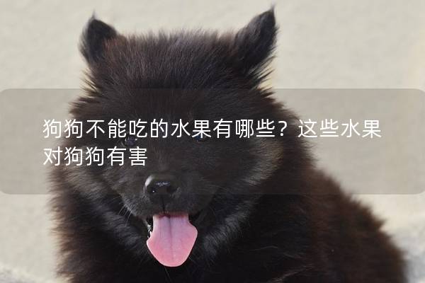狗狗不能吃的水果有哪些？這些水果對狗狗有害