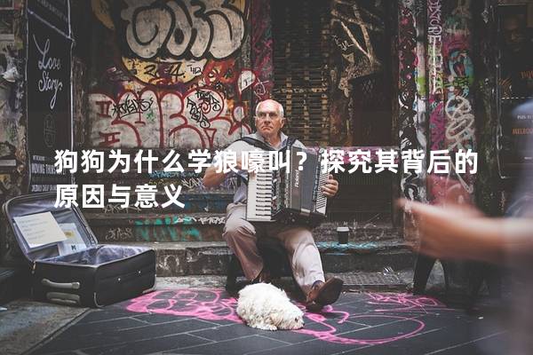 狗狗為什么學(xué)狼嚎叫？探究其背后的原因與意義