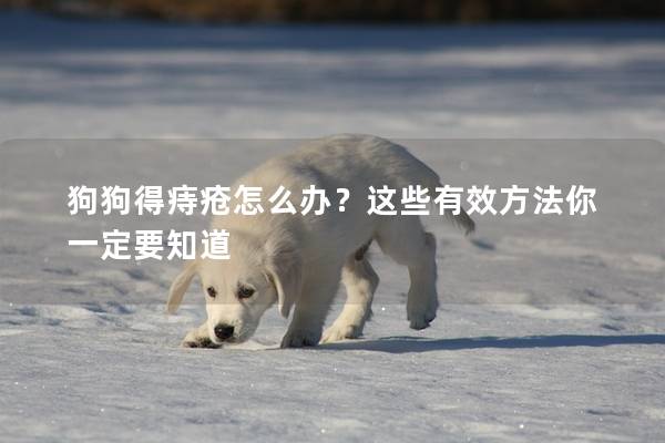 狗狗得痔瘡怎么辦？這些有效方法你一定要知道