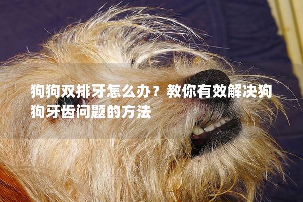 狗狗雙排牙怎么辦？教你有效解決狗狗牙齒問題的方法