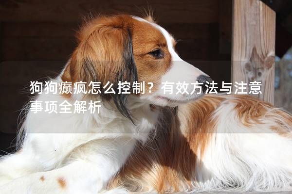 狗狗癲瘋怎么控制？有效方法與注意事項全解析