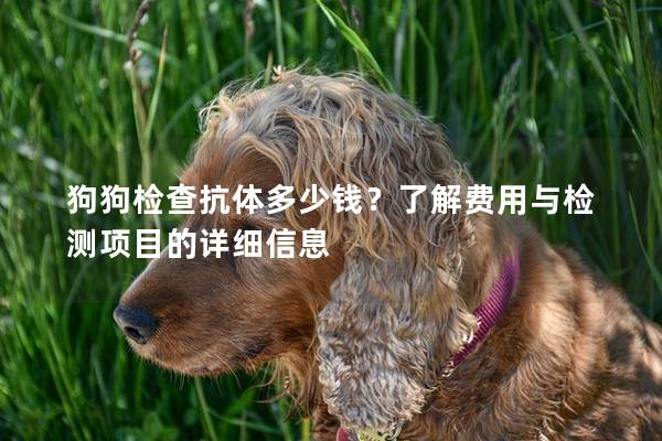 狗狗檢查抗體多少錢？了解費用與檢測項目的詳細信息