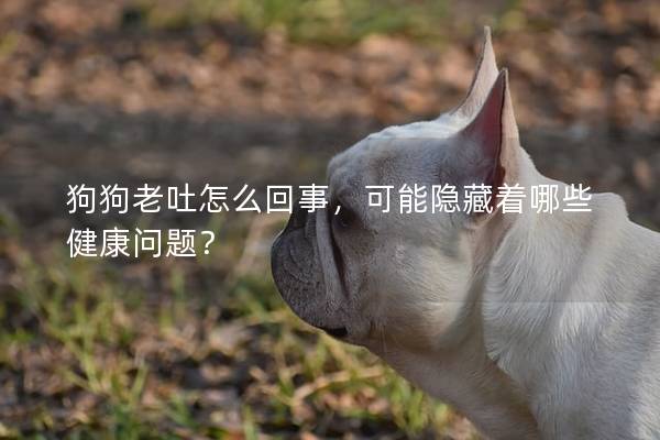 狗狗老吐怎么回事，可能隱藏著哪些健康問題？