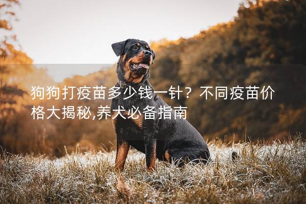 狗狗打疫苗多少錢一針？不同疫苗價格大揭秘,養(yǎng)犬必備指南