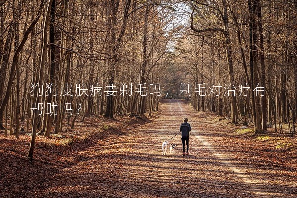 狗狗皮膚病要剃毛嗎,剃毛對治療有幫助嗎? 狗狗皮膚病要剃毛嗎,剃毛對治療有幫助嗎?