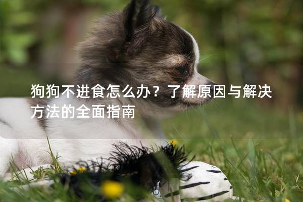 狗狗不進食怎么辦？了解原因與解決方法的全面指南