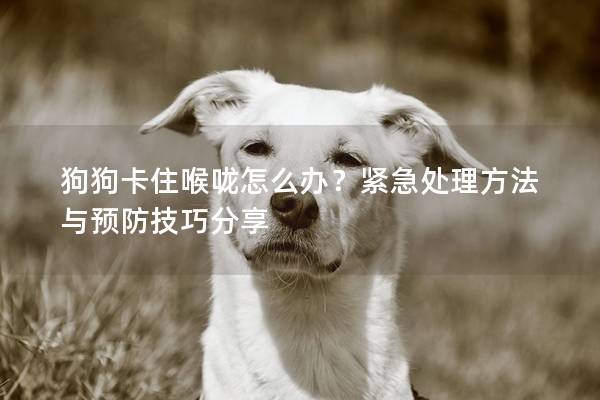 狗狗卡住喉嚨怎么辦？緊急處理方法與預防技巧分享