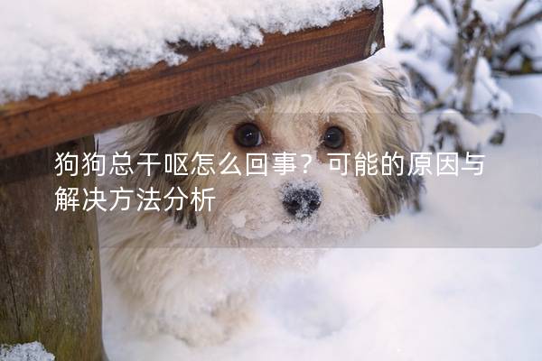 狗狗總干嘔怎么回事？可能的原因與解決方法分析