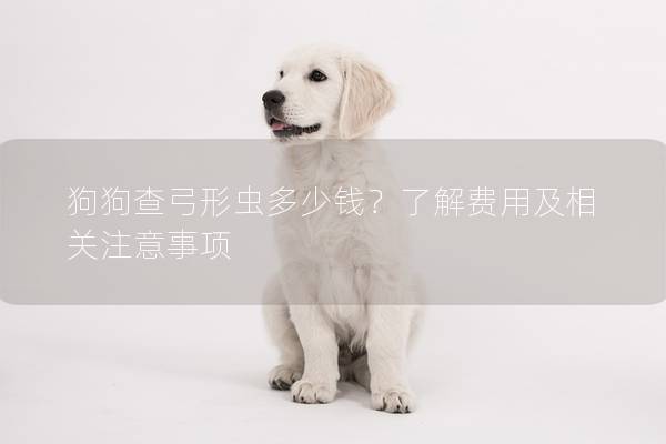 狗狗查弓形蟲多少錢？了解費用及相關注意事項